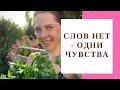 Выходные в деревне