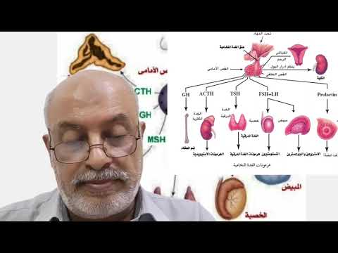 قصور الغدة النخامية بعد الولادة متلازمة شيهان