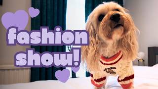 Zola's fashion show, her favourite toys, and a game of hide and seek | Episode 4 | The Zola Diaries
