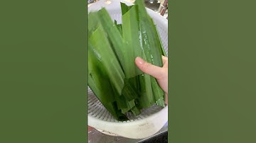 Hướng dẫn cách lấy màu lá dứa được màu đậm đặc nhất / tinh chất lá dứa / HG Homemade