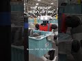Humanoid Robots Taking Warehouse Jobs? 📦 #shorts