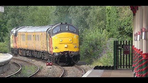 Class 37 Few Shots