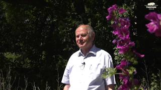 65 Jahre Tierpark Berlin Dr. Falk Dathe Im Interview