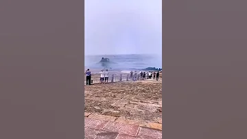 ОГРОМНЫЙ КИТ