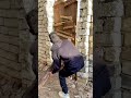حرس ولا تخون
