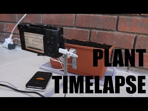 Setting Up A Timelapse Of Plants Growing!