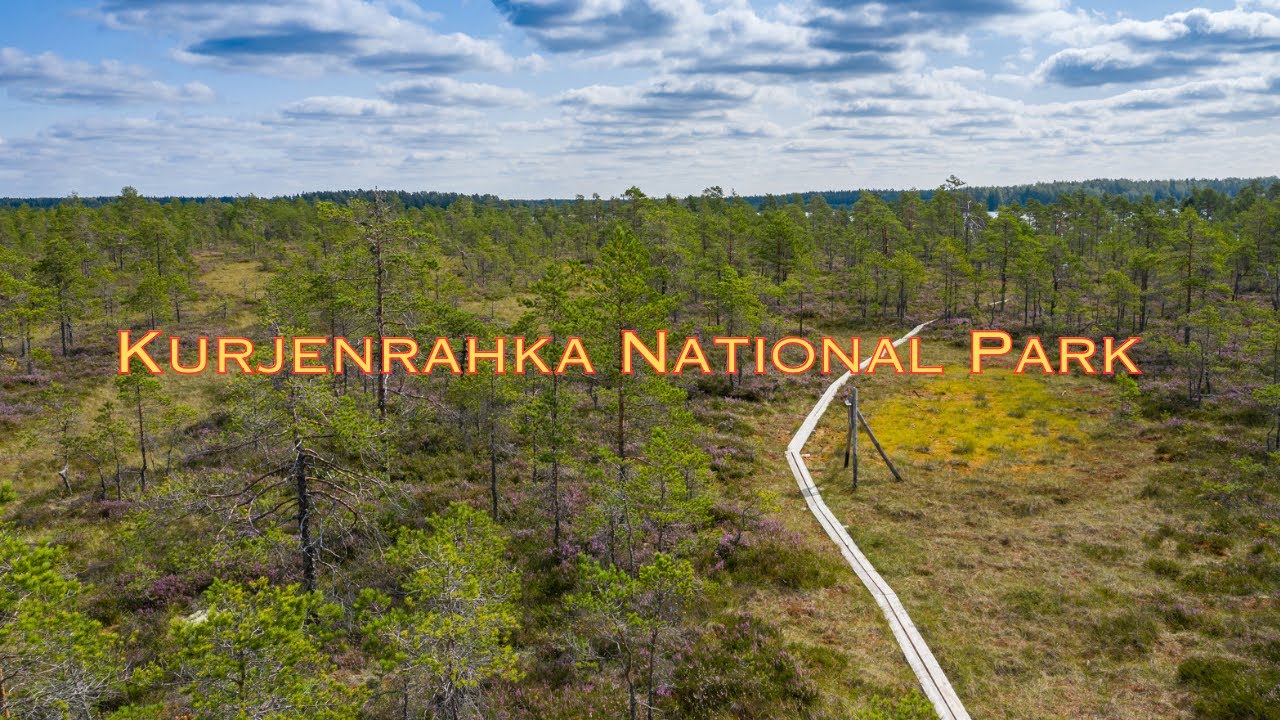 the-beauty-of-finland-s-national-park-in-4k-kurjenrahka-national-park