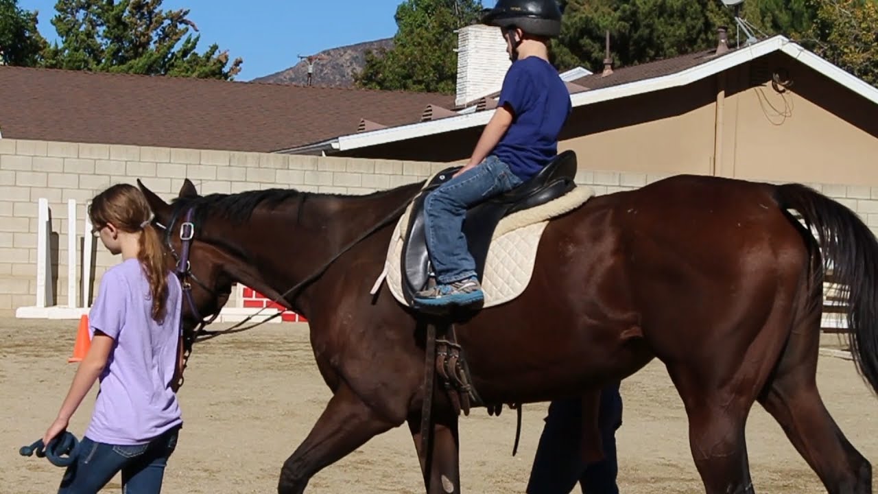 Healing horses Rising Star Ranch promotes equestrian therapy YouTube