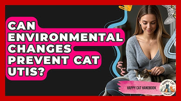 Can Environmental Changes Prevent Cat UTIs? - Happy Cat Handbook