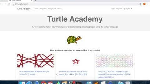 Turtle Academy 01 Logo