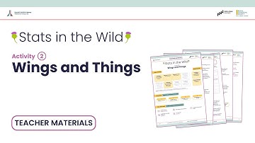 Maths Week Scotland - Activity 2 - Wings and Things