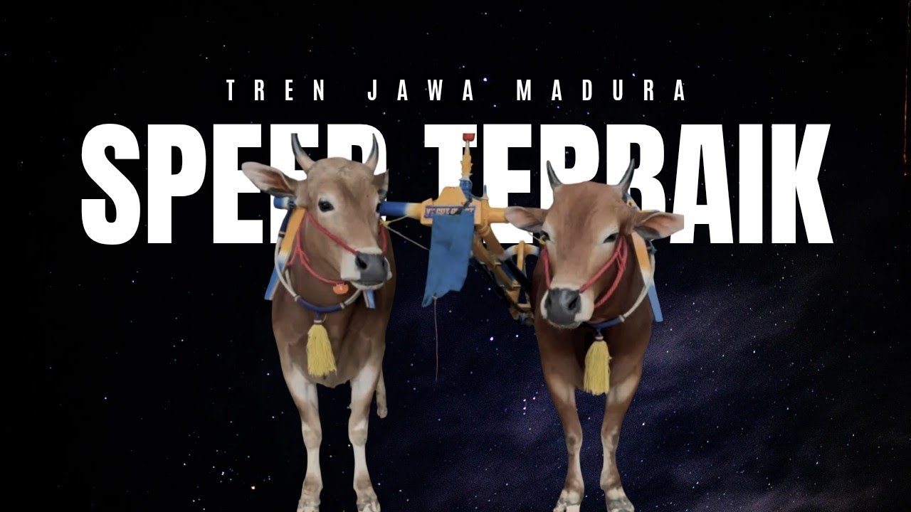 10 SPEED TERBAIK ‼️ 