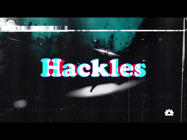 Assista a Pigeon Hole - Hackles (BUGS EP / WAKAAN) no YouTube Assista a Pigeon Hole - Hackles (BUGS EP / WAKAAN) no YouTube