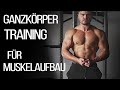 Ganzkörper Homeworkout (mit Kurzhanteln)