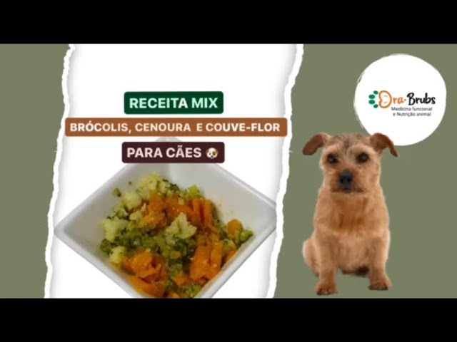 RECEITA MIX BRÓCOLIS, CENOURA E COUVE-FLOR P/ CÃES