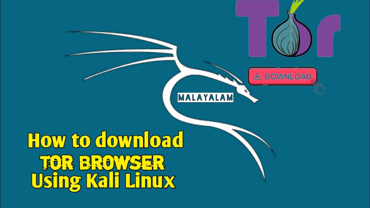 how to install tor browser kali