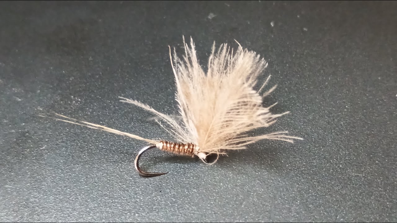 Mosca seca de faisán y cdc - Montaje de moscas