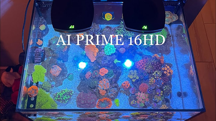 AI Prime 16HD settings, schedule, and review for mixed nano reef aquarium. 25 lagoon build
