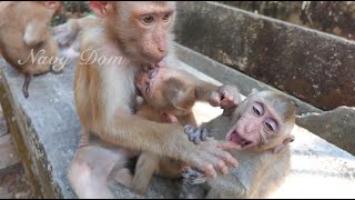 Baby Angela tries to get milk from Julie every time she is hungry and sleepy. Julie always allow her