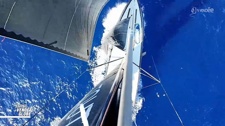 Le Journal Du Vendée Globe du 29 Janvier : Arrivées imminentes et duel en mer !