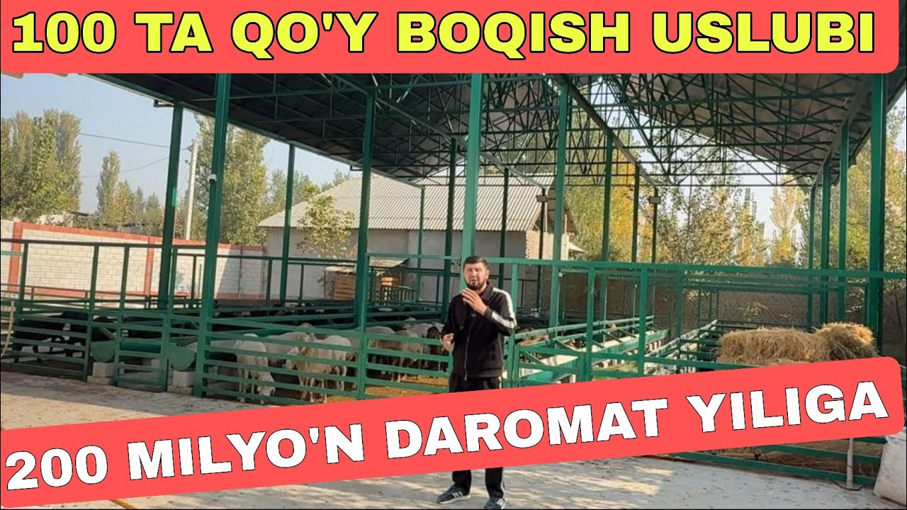 QO'Y BOQISH USLUBI BESH YULDUZLIK QO'YXONA QURISH  