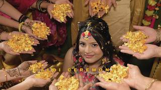 Pure Joy & Yellow Vibes 💛 | Haldi Ceremony Highlights