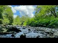 Relaxing white noise of a mountain river without music and without birdsong