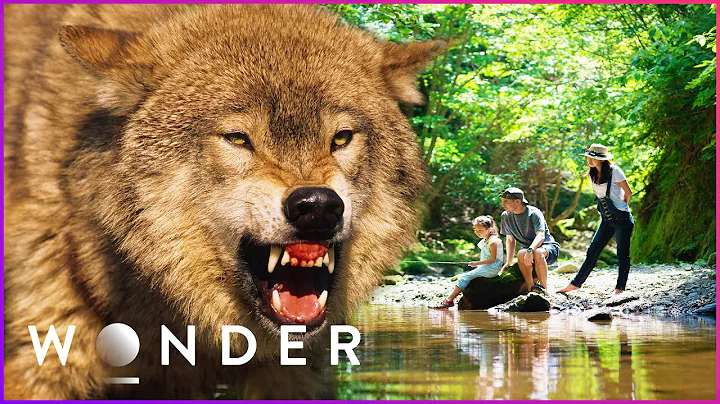 Family Must Fight For Their Lives After Being Stalked By Wolf | Human Prey S1 EP5 | Wonder