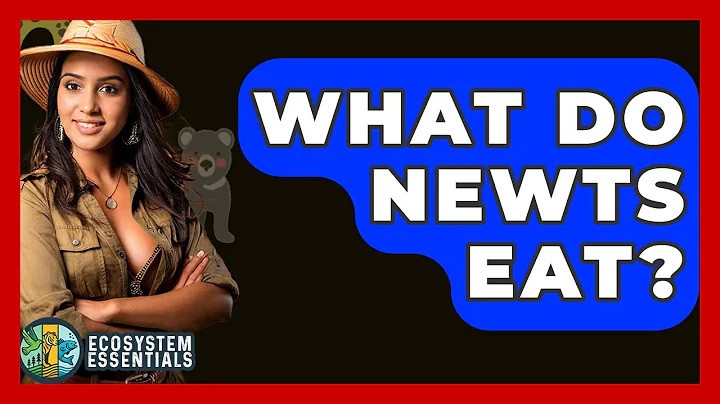 What Do Newts Eat? - Ecosystem Essentials