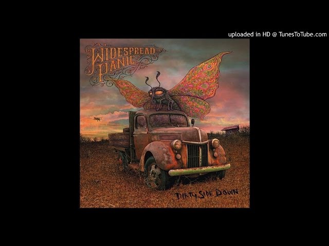 Widespread Panic - This Cruel Thing