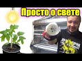 Подсветка рассады. Просто о сложном. Фитолампы это плохо?