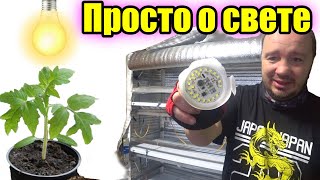 Подсветка рассады. Просто о сложном. Фитолампы это плохо?