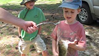 Noah and Ben catch a bass