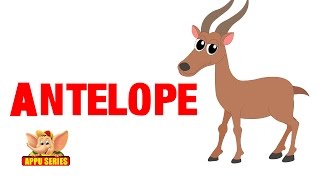 Animal Sounds - Antelope