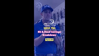 Bit And Head Carriage Breakdown Part 9 The Horse Guru-Michael Gascon