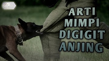 ARTI MIMPI DIGIGIT ANJING ❕PERTANDA APA ❓