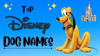 Top Disney Dogs Of All Time - Dog Names