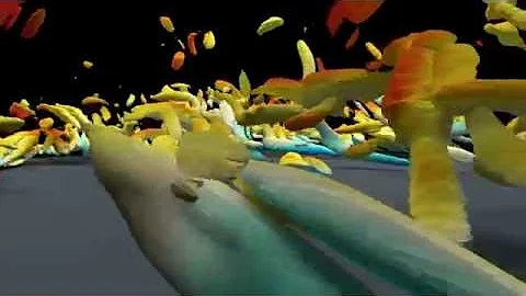 Inside a turbulent boundary layer