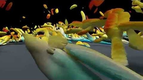 Inside a turbulent boundary layer
