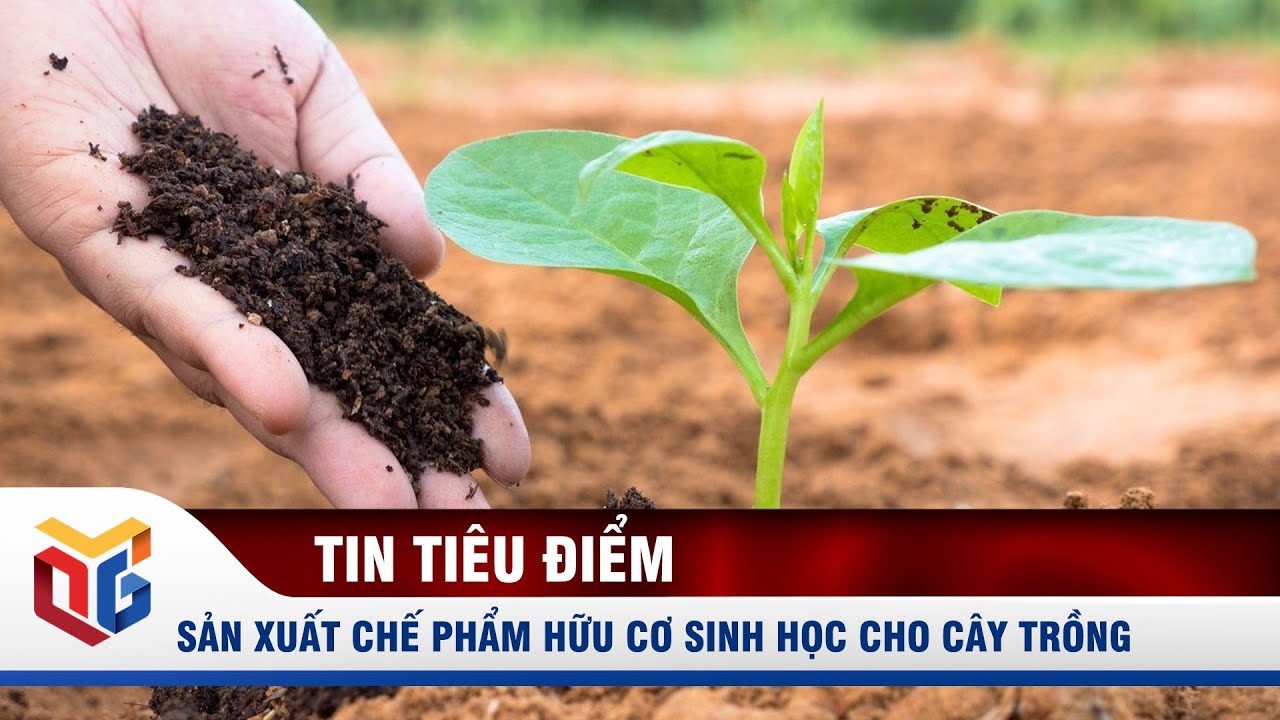 Quy trình sản xuất chế phẩm sinh học hữu cơ cho cây trồng - YouTube