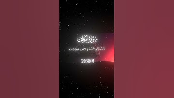 سورة الفرقان|26-29|القارئ:#محمد_اللحيدان #قران #quran #راحة_نفسية #قران_كريم#تلاوة_هادئة#تلاوة_خاشعة