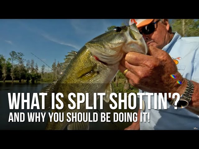 Watch What is Split Shottin' and why you should be doing it! on YouTube.