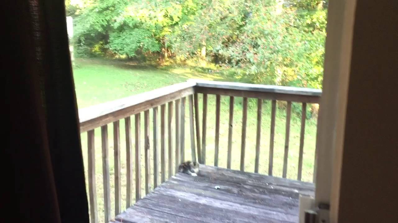 Conley Decatur Ga 3868 Conley Downs Dr, Decatur, GA 30034, United States - GSR - YouTube
