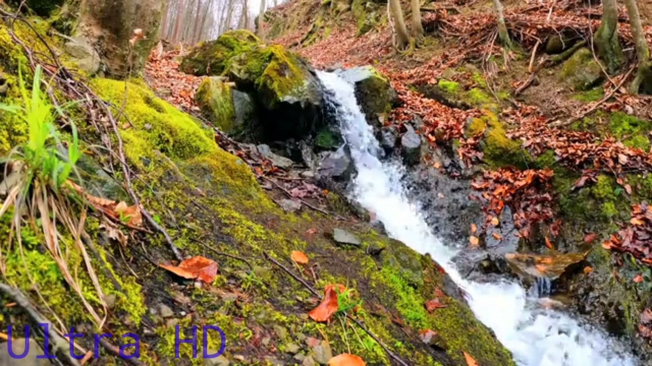 Beautiful of good Nuture Full Ultra HD Whater please in my country.