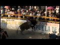 Monta chingona estilo san luis de victor garcia de san isidro vs el guajiro del 2102