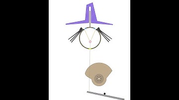 witch hair and hat mechanism