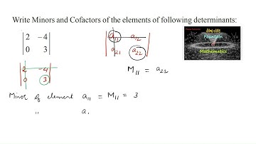 write Minors and Cofactors of the [2 -4 0 3]|Determinants|Matrices|NCERT|Solutions|2023-24|CBSE|New