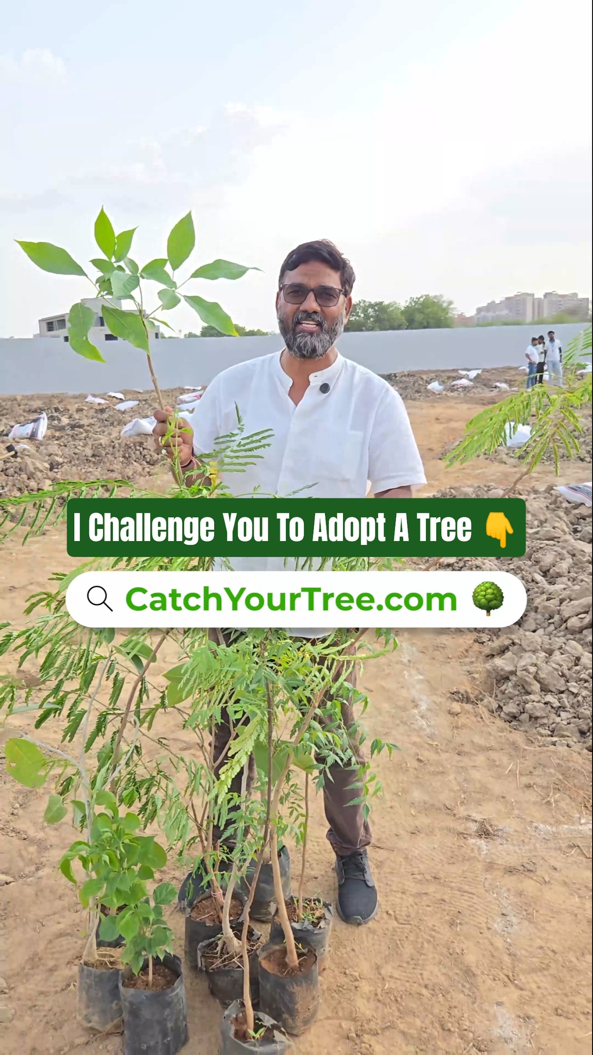 Native saplings
