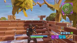 win but you can't kill the last guy (Fortnite)