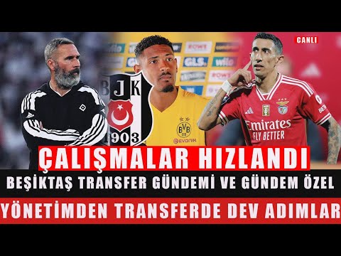 BEŞİKTAŞ'TA TRANSFER ÇALIŞMALARI HIZLANDI | Dİ MARİA, HALLER, TİM WALTER